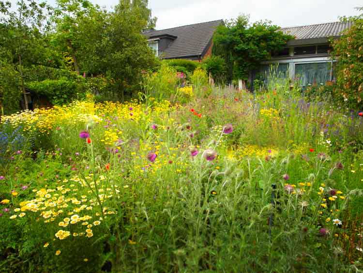 hummelgarten